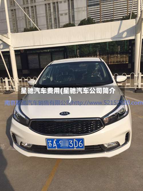 星驰汽车费用(星驰汽车公司简介)-第2张图片