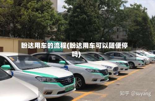 盼达用车的流程(盼达用车可以随便停吗)-第3张图片