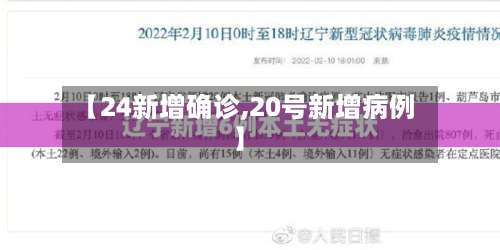 【24新增确诊,20号新增病例】-第3张图片