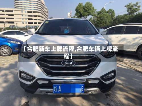【合肥新车上牌流程,合肥车辆上牌流程】