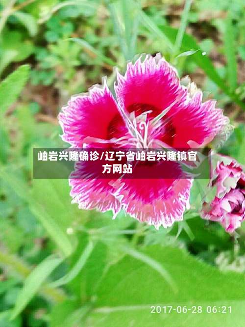 岫岩兴隆确诊/辽宁省岫岩兴隆镇官方网站