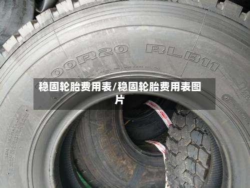 稳固轮胎费用表/稳固轮胎费用表图片