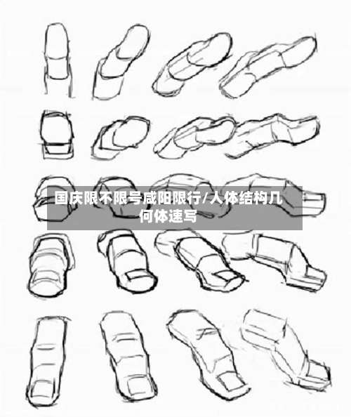 国庆限不限号咸阳限行/人体结构几何体速写