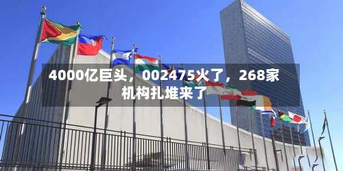 4000亿巨头，002475火了，268家机构扎堆来了