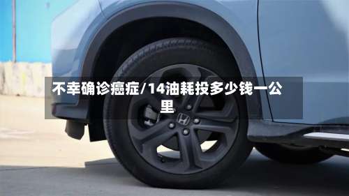 不幸确诊癌症/14油耗投多少钱一公里