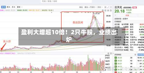 盈利大增超10倍！2只牛股，业绩出炉