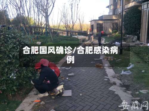 合肥国风确诊/合肥感染病例-第3张图片
