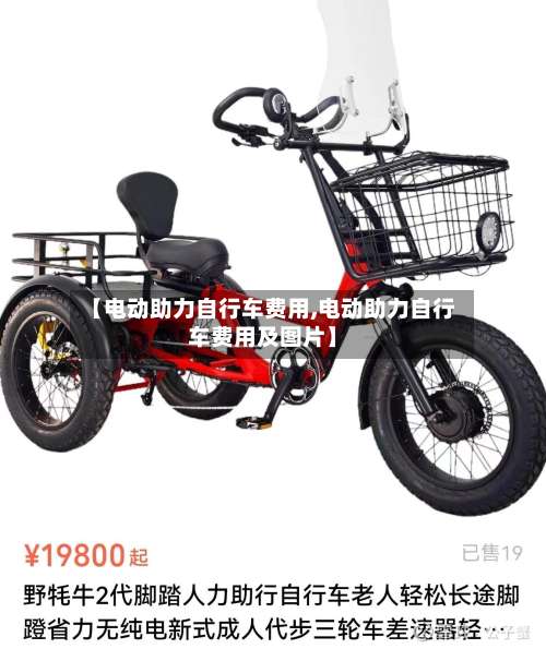 【电动助力自行车费用,电动助力自行车费用及图片】