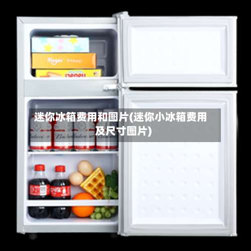 迷你冰箱费用和图片(迷你小冰箱费用及尺寸图片)