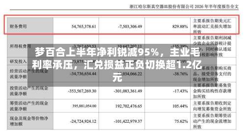 梦百合上半年净利锐减95%,主业毛利率承压,汇兑损益正负切换超1.2亿元