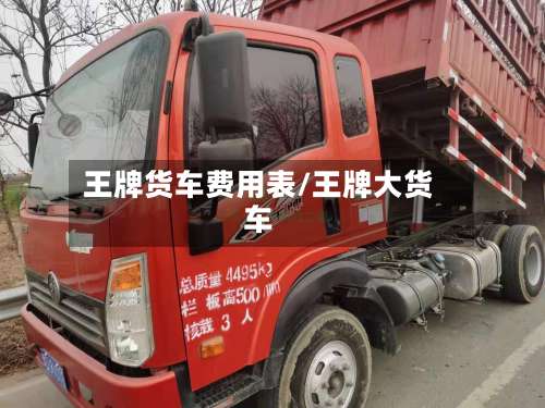 王牌货车费用表/王牌大货车