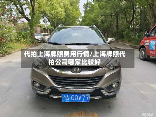 代拍上海牌照费用行情/上海牌照代拍公司哪家比较好-第3张图片