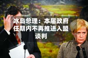 冰岛总理：本届政府任期内不再推进入盟谈判-第2张图片