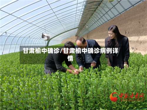 甘肃榆中确诊/甘肃榆中确诊病例详情
