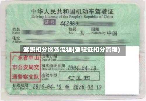 驾照扣分缴费流程(驾驶证扣分流程)