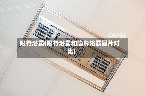 限行浴霸(限行浴霸和隐形浴霸图片对比)-第2张图片