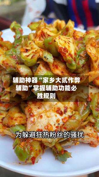 辅助神器“家乡大贰作弊辅助”掌握辅助功能必胜规则