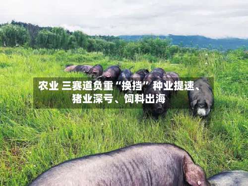 农业 三赛道负重“换挡” 种业提速、猪业深亏、饲料出海