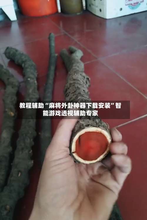 教程辅助“麻将外卦神器下载安装	”智能游戏透视辅助专家-第2张图片