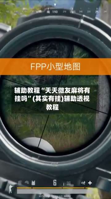 辅助教程“天天微友麻将有挂吗”(其实有挂)辅助透视教程-第3张图片