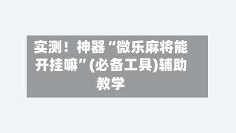 实测！神器“微乐麻将能开挂嘛”(必备工具)辅助教学-第2张图片