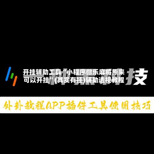 开挂辅助工具“小程序微乐麻将原来可以开挂”(其实有挂)辅助透视教程-第2张图片