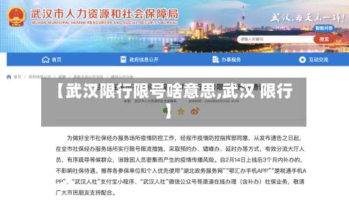 【武汉限行限号啥意思,武汉 限行】