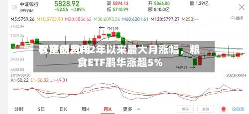 农产品费用有望创2012年以来最大月涨幅，粮食ETF鹏华涨超5%-第2张图片