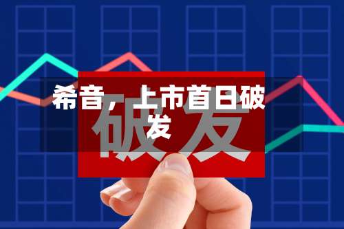 希音，上市首日破发-第2张图片