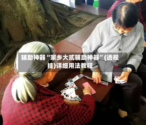辅助神器“家乡大贰辅助神器	”(透视挂)详细用法教程-第2张图片