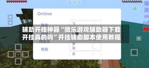 辅助开挂神器“微乐游戏辅助器下载开挂真的吗”开挂辅助脚本使用教程-第3张图片
