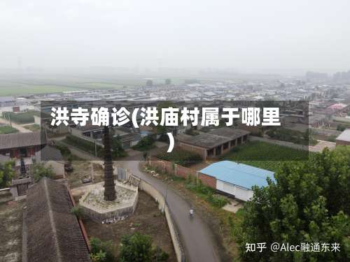 洪寺确诊(洪庙村属于哪里)