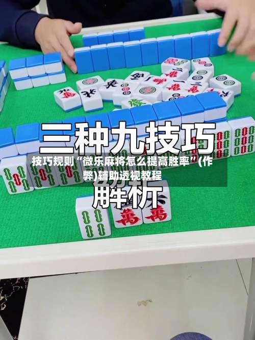 技巧规则“微乐麻将怎么提高胜率”(作弊)辅助透视教程-第2张图片