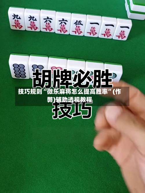 技巧规则“微乐麻将怎么提高胜率”(作弊)辅助透视教程