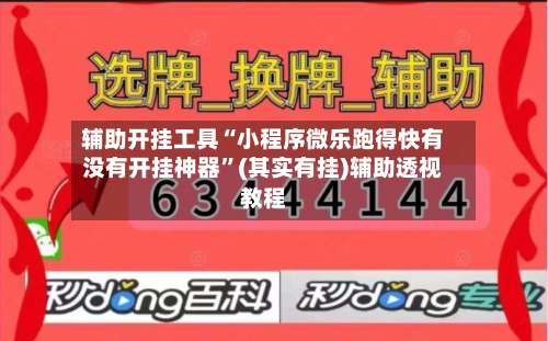 辅助开挂工具“小程序微乐跑得快有没有开挂神器	”(其实有挂)辅助透视教程-第2张图片