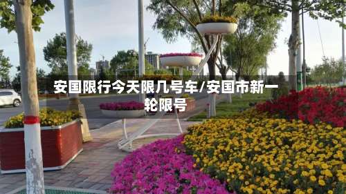 安国限行今天限几号车/安国市新一轮限号-第2张图片
