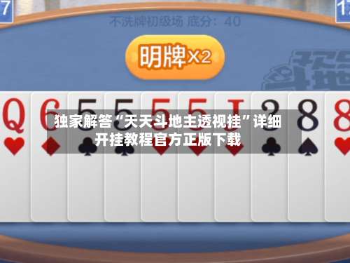 独家解答“天天斗地主透视挂”详细开挂教程官方正版下载-第2张图片