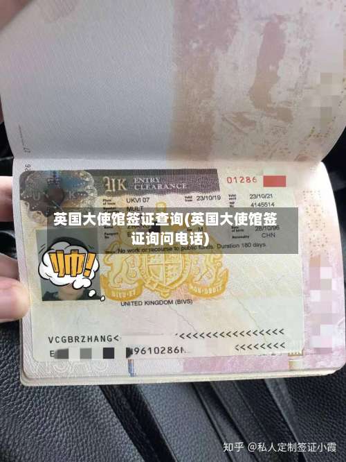 英国大使馆签证查询(英国大使馆签证询问电话)-第3张图片