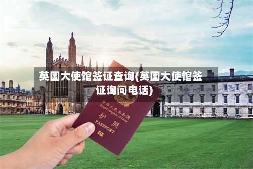 英国大使馆签证查询(英国大使馆签证询问电话)-第2张图片